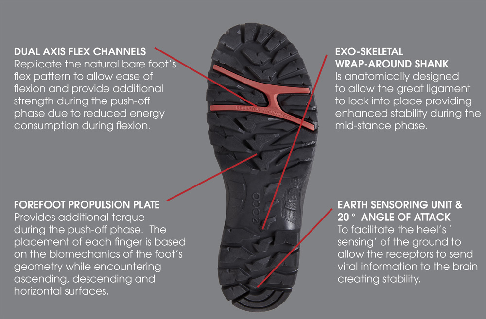 Ecco receptor hiking shoes on sale